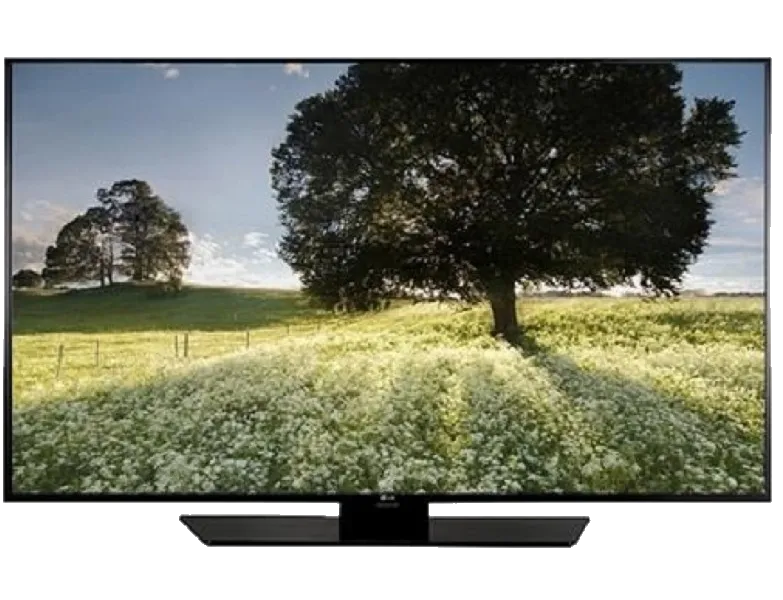 LG